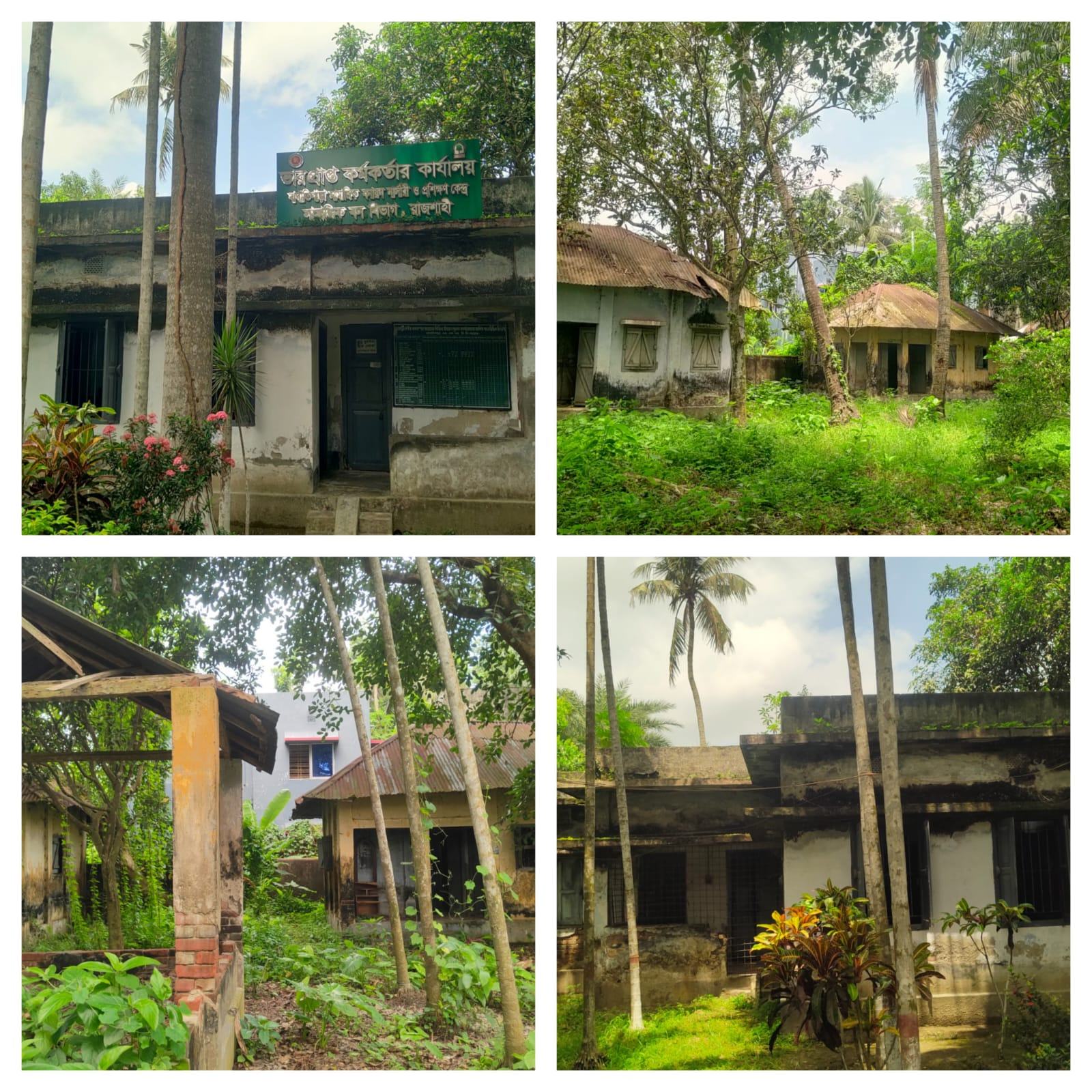 বন বিভাগ