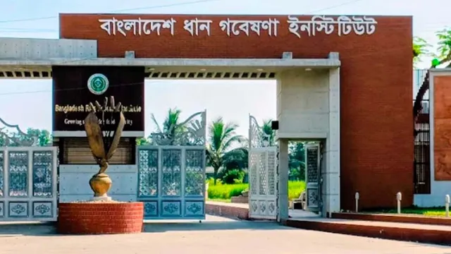 হাফিজুর রহমানের বদলির পর ব্রিতে স্বস্তির আভাস, দুর্নীতির অভিযোগ ও তদন্তে গতি ফেরার প্রত্যাশা