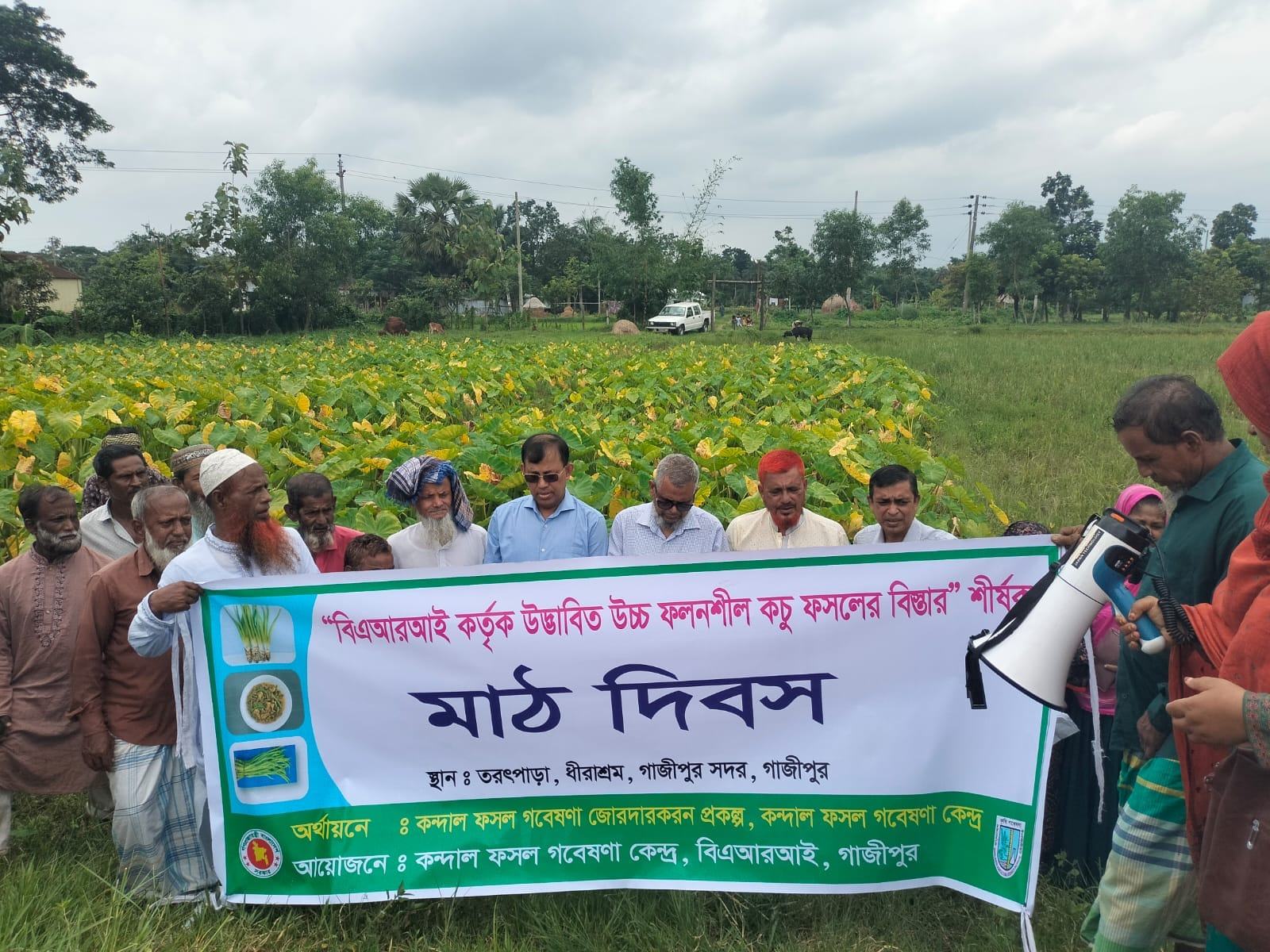 বারি
