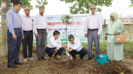বারিতে বৃক্ষ রোপণ কর্মসূচি-২০২৬ উদ্বোধন