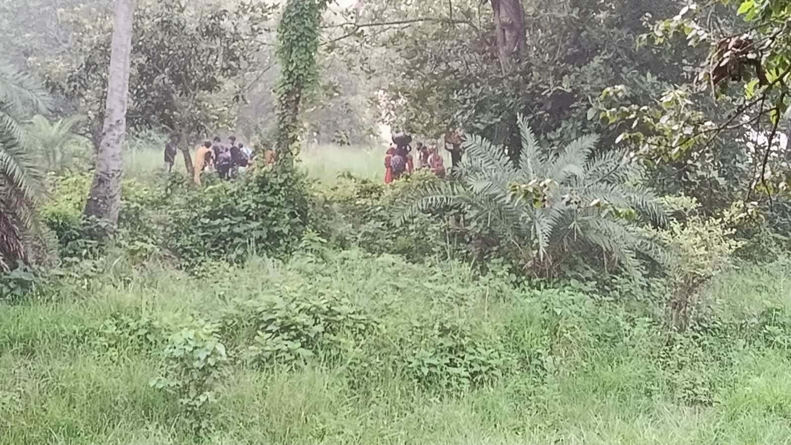 বৃষ্টিভেজা দুর্ভোগ শেষে ২৮ জনকে নিয়ে গেল বিএসএফ