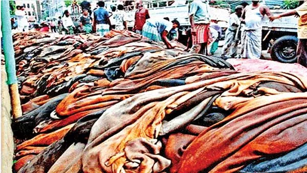 মাদরাসাগুলোকে মুখ থুবড়ে ফেলতে চামড়া খাতে ‘আর্থিক সন্ত্রাস’ চালিয়েছিল আওয়ামী লীগ