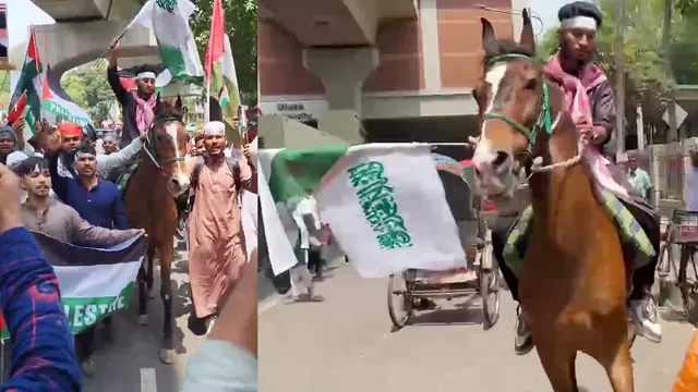 মার্চ ফর গাজা কর্মসূচিতে ঘোড়ায় চড়ে যুবক