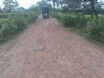 ত্রিশাল-সামানিয়াপাড়া সড়কের বেহাল দশা