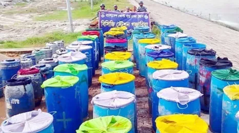 দাউদকান্দিতে ২ কোটি টাকার অবৈধ চিংড়ি রেণু জব্দ