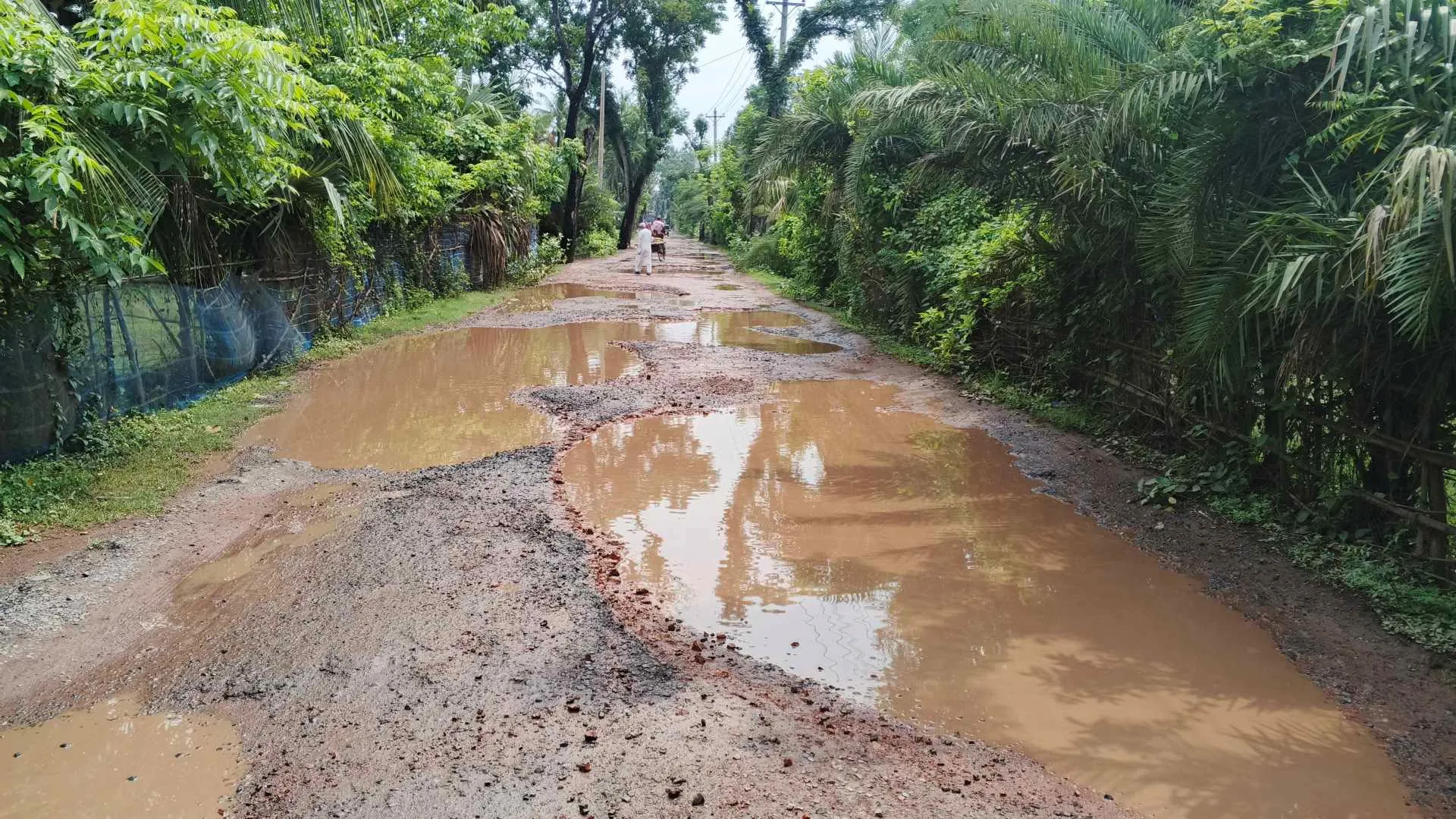 পাইকগাছা-কয়রার প্রধান সড়ক এক মরণফাঁদ
