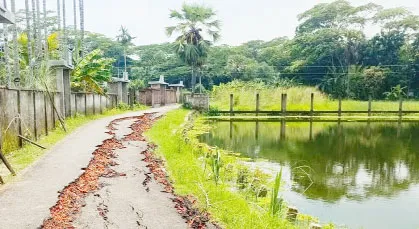 নির্মাণ শেষে ভেঙে গেলো গৌরনদী পৌরসভার কার্পেটিং রাস্তা