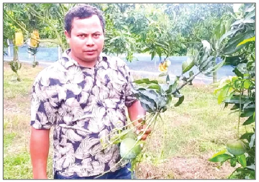 গ্যাপ পদ্ধতিতে আম চাষ করে বিদেশে রফতানি করছেন হাকিমপুরের নিরঞ্জন