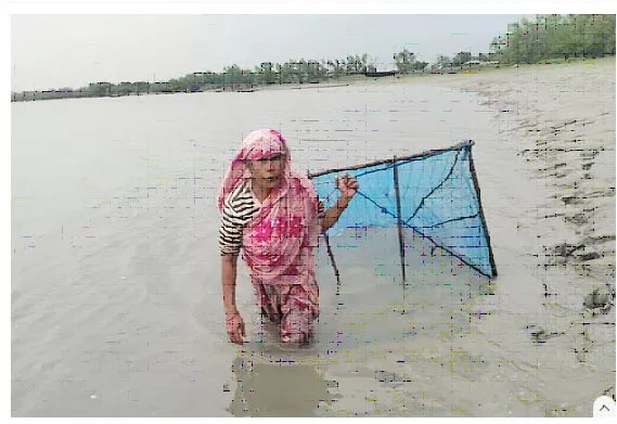 সুন্দরবনের জুলেখার নিরন্তর লড়াই