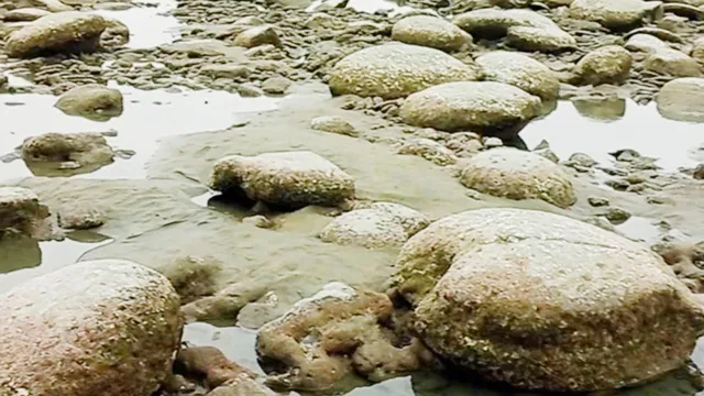ঘুরে এলাম কক্সবাজার ইনানী বিচ