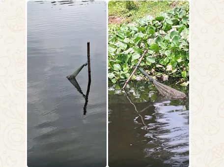 গাজীপুরে বর্ষার শুরুতেই হুমকিতে দেশীয় মৎস্যসম্পদ