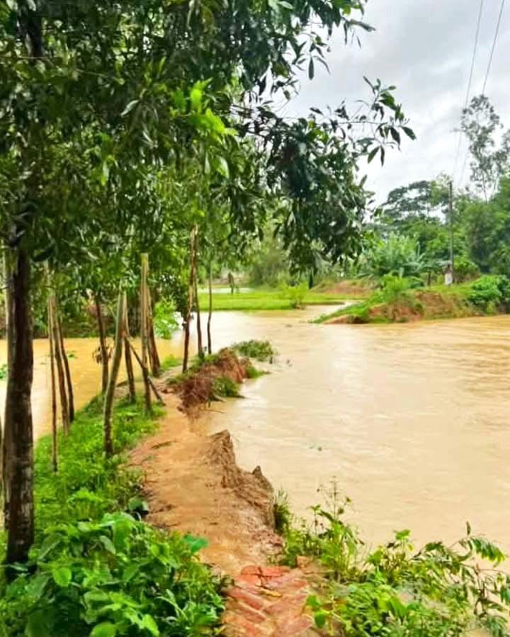 হালদা