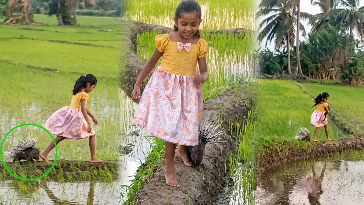 কোলে গন্ধগোকুল-পেছনে সজারু, ভাইরাল মেয়েটি কে ?