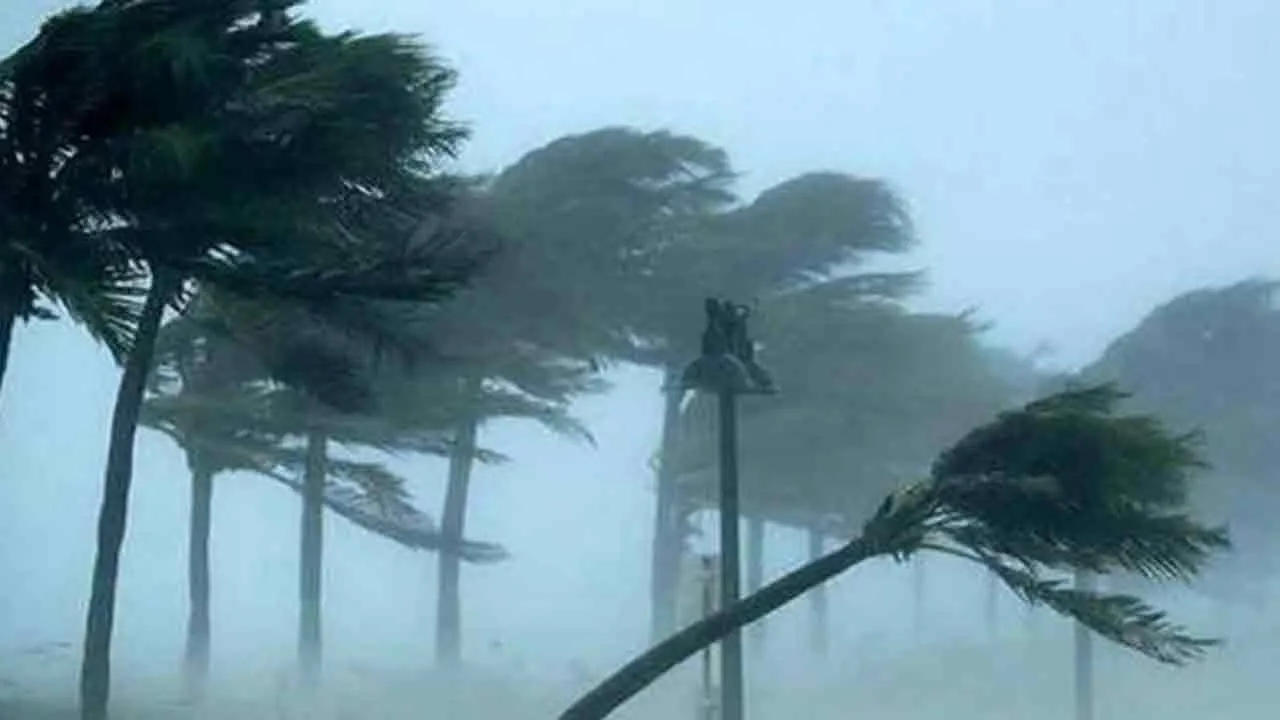 দুপুরের মধ্যে যেসব জেলায় হতে পারে বজ্রবৃষ্টি