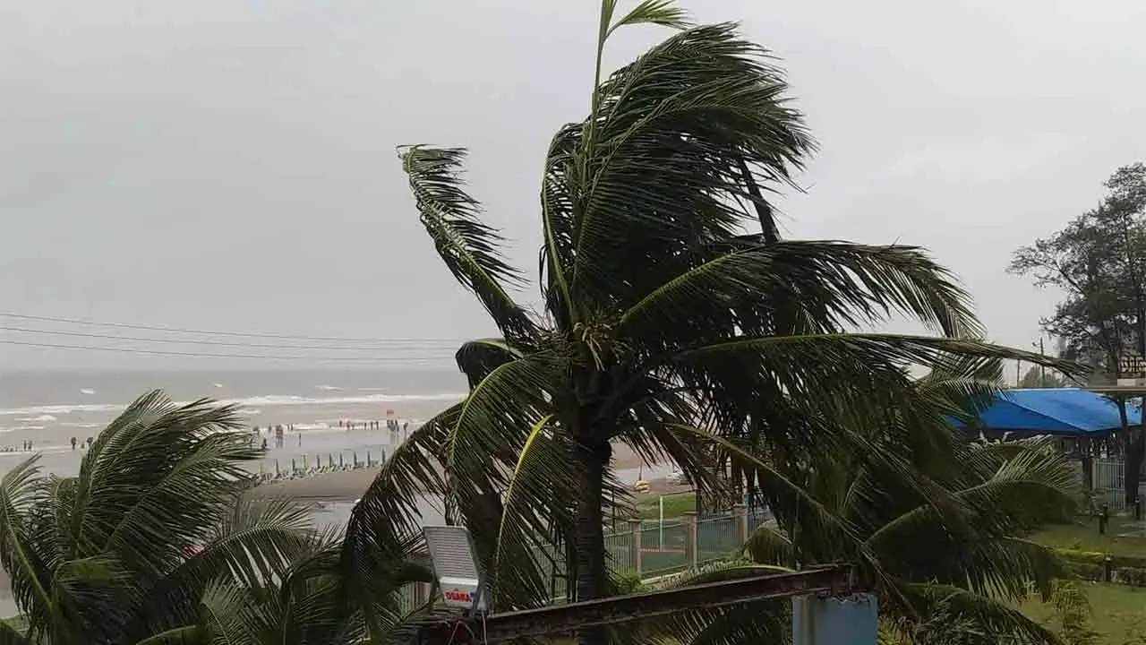 দুপুরের মধ্যে যেসব জেলায় হতে পারে বজ্রবৃষ্টি