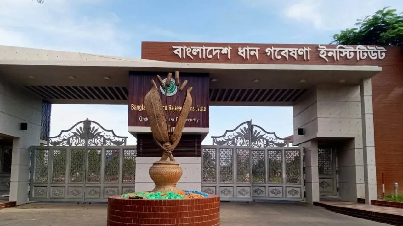 ব্রি‘র হিসাব বিভাগে সংঘর্ষ