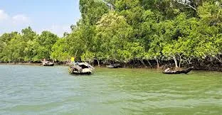 সুন্দরবনে ১০ জেলে অপহৃত, মুক্তিপণ আদায় করছে বনদস্যুরা