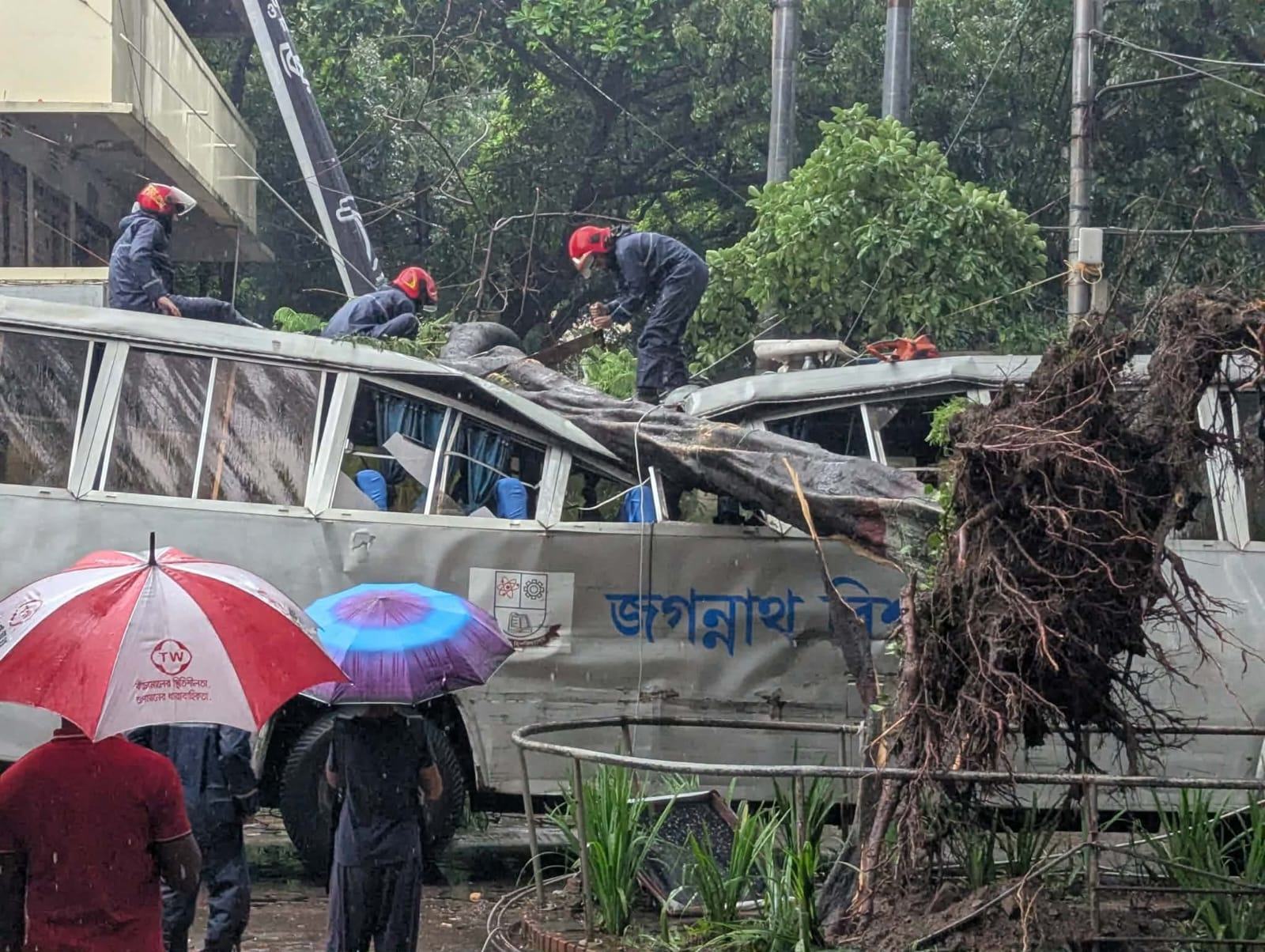 জবিতে কৃষ্ণচূড়া গাছ উপড়ে দুমড়ে মুচড়ে গেছে বিশ্ববিদ্যালয়ের বাস