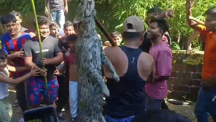 জগন্নাথপুরে বনবিভাগের কর্মকর্তা উপস্থিতিতে মেছো বাঘ পিটিয়ে হত্যা