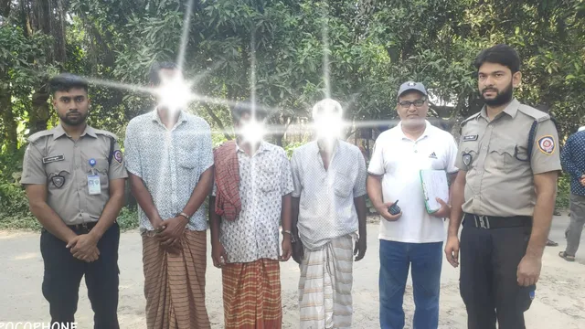 বাগাতিপাড়ায় ভ্রাম্যমাণ আদালতে অভিযান, ৩ জনের জেল-জরিমানা