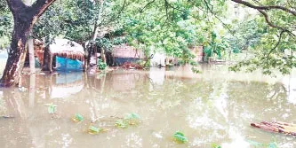 সাতক্ষীরার কালিগঞ্জের বন্দকাটী এলাকায় পানি নিষ্কাশনের পথ বন্ধ জলাবদ্ধতায় চরম দুর্ভোগ