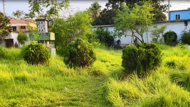 কুমারখালী পৌর শিশুপার্ক আগাছায় ভরে গেছে, নষ্ট রাইডগুলো যেন বিধ্বস্থ ধ্বংসস্তূপ
