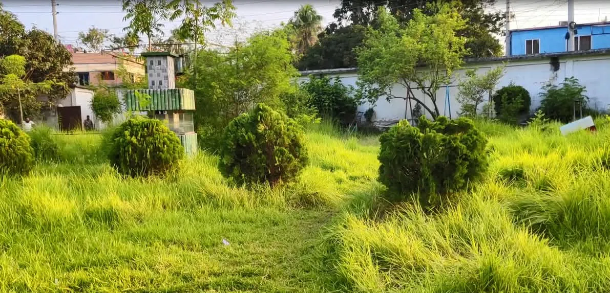 কুমারখালী পৌর শিশুপার্ক আগাছায় ভরে গেছে, নষ্ট রাইডগুলো যেন বিধ্বস্থ ধ্বংসস্তূপ