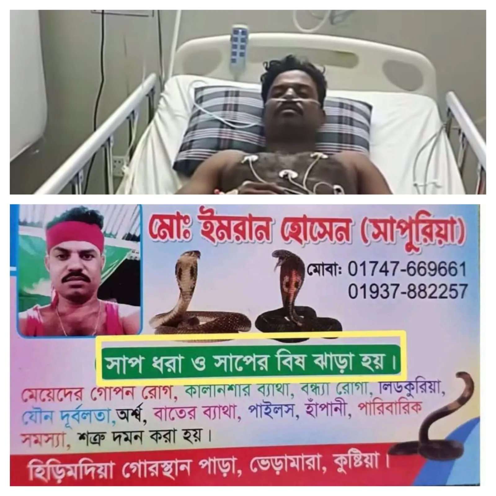সাপুড়ের কপালেই সাপের কামড়: কুষ্টিয়া জেনারেল হাসপাতালে মৃত্যুশয্যায় ইমরান কবিরাজ