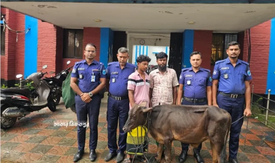মুন্সিগঞ্জে  চোরাই গরুসহ অভিযুক্ত দুই ব্যক্তি গ্রেপ্তার