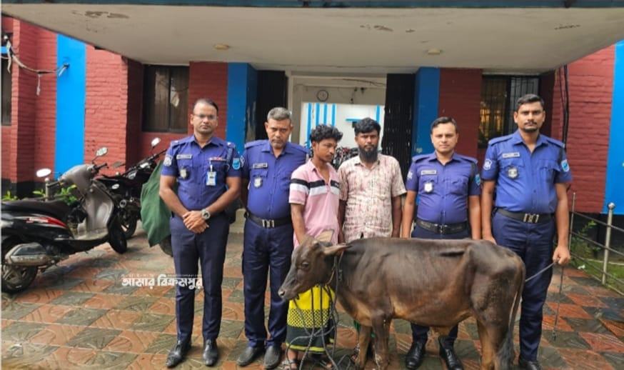 মুন্সিগঞ্জে  চোরাই গরুসহ অভিযুক্ত দুই ব্যক্তি গ্রেপ্তার