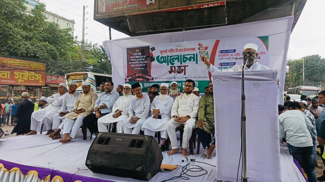 মাওলানা এ এইচ এম আব্দুল হালিম