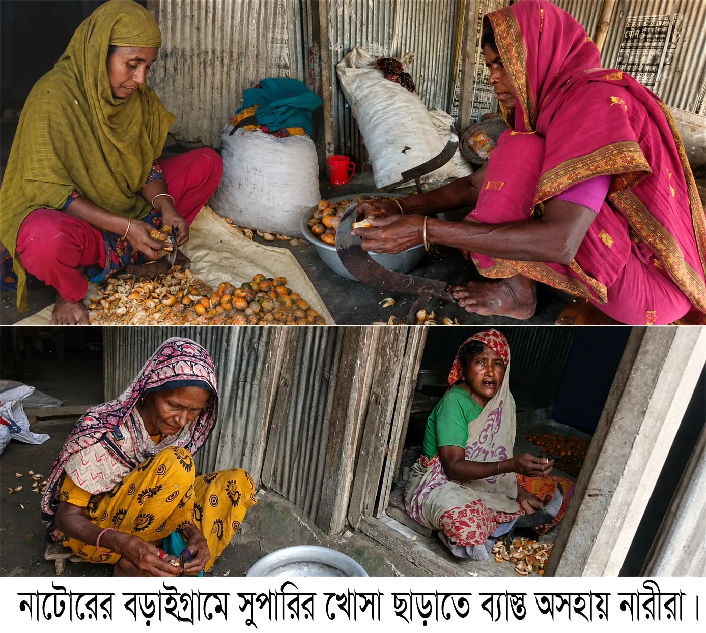 খোসা ছাড়িয়ে বদলে যাচ্ছে কয়েকশ অসহায় নারীর জীবন