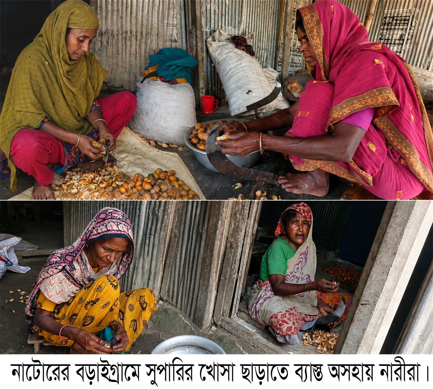 নাটোর