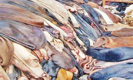 চামড়াখাতে রাজস্ব কমেছে ১৬ কোটি মার্কিন ডলার