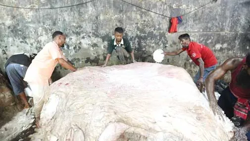 সিন্ডিকেটের কবলে চামড়ার বাজার