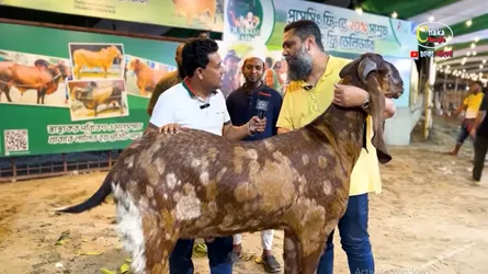 সাদিক এগ্রোর বিরুদ্ধে ১৩৩ কোটির মামলা নামল দেড় কোটিতে