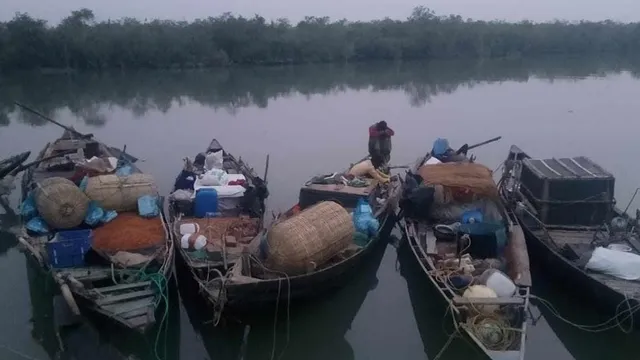 কাঁকড়ার প্রজনন মৌসুমে সুন্দরবনে দুই মাসের নিষেধাজ্ঞা