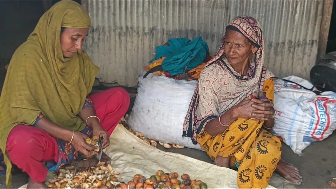 সুপারির খোসায় স্বপ্নের গল্প খোসা ছাড়িয়ে বদলে যাচ্ছে কয়েকশ অসহায় নারীর জীবন