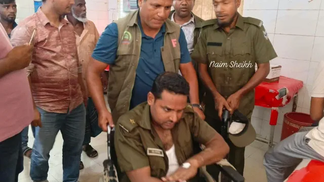 শ্রীপুরে বনভূমি রক্ষা অভিযানে হামলা, রেঞ্জ কর্মকর্তাসহ আহত ১৬ বনকর্মী
