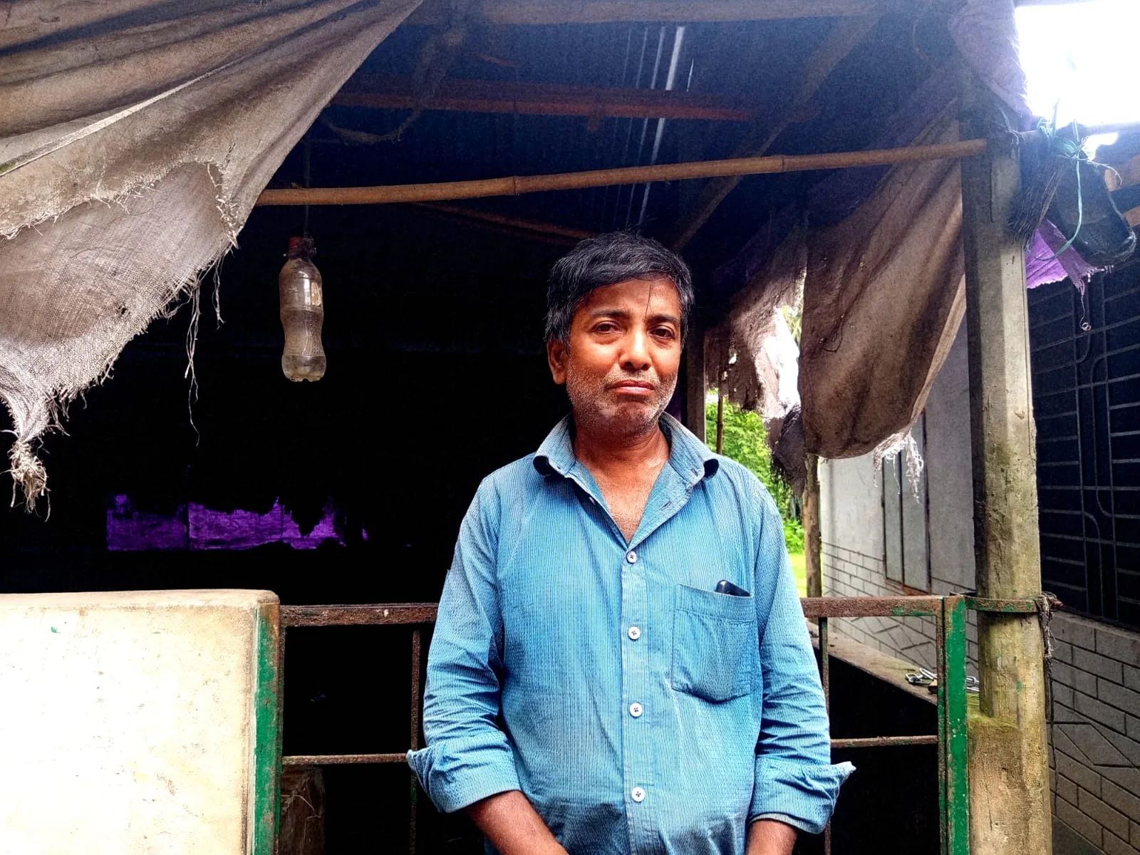 তিনটি গরু হারিয়ে নিঃস্ব কবির, দুধ বিক্রির আয়েই চলত সংসার