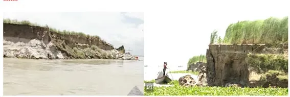 কুষ্টিয়ায় পদ্মা ও গড়াই নদীতে পানি বৃদ্ধি  বিভিন্ন এলাকায় ভাঙন ॥ বাড়ছে উৎকণ্ঠা